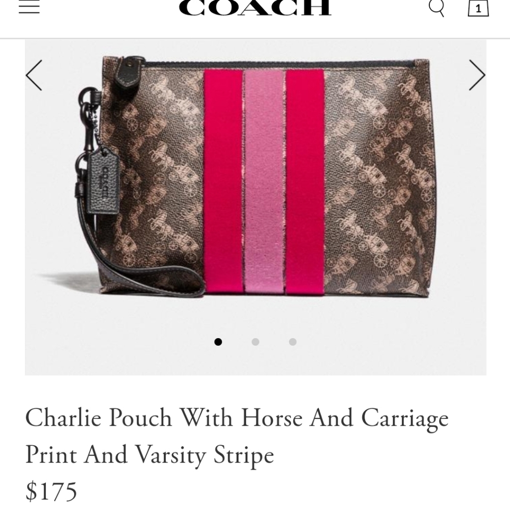 ❌SOLD❌ Coach Charlie Pouch Varsity Stripes - Picture 5 of 5